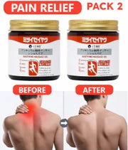 ✨ Japanese PainGo™ Herbal Cooling Massage Gel (Pack of 2)